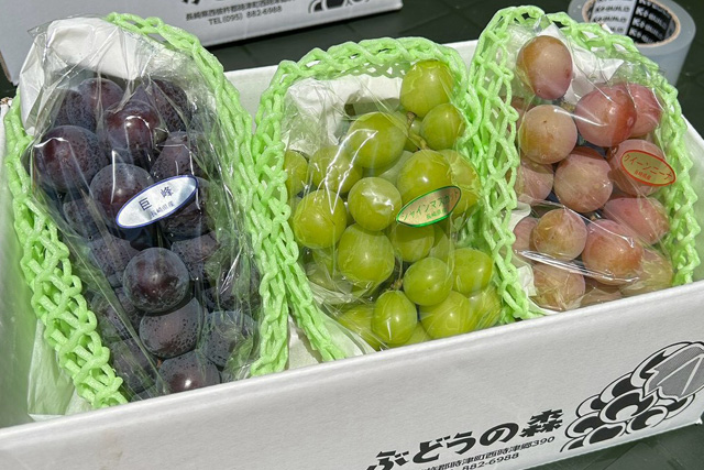 Dセット
